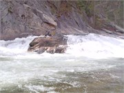 Wilsons Creek 184